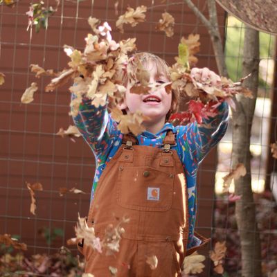 young child in overalls throwing fall leaves,  happily up in the air