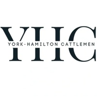 York-Hamilton Cattlemen