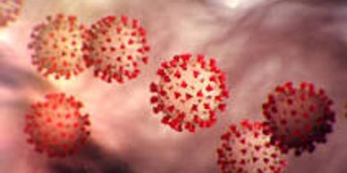 Corona Virus Tests For Insurance