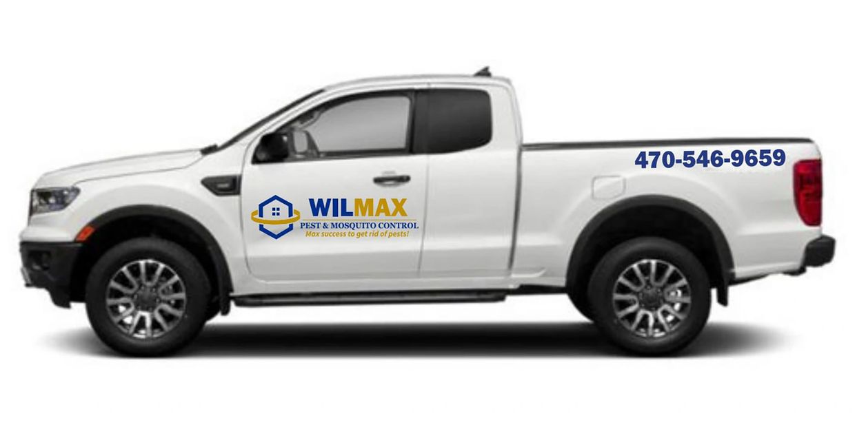 Wilmax Services Wilmax Services