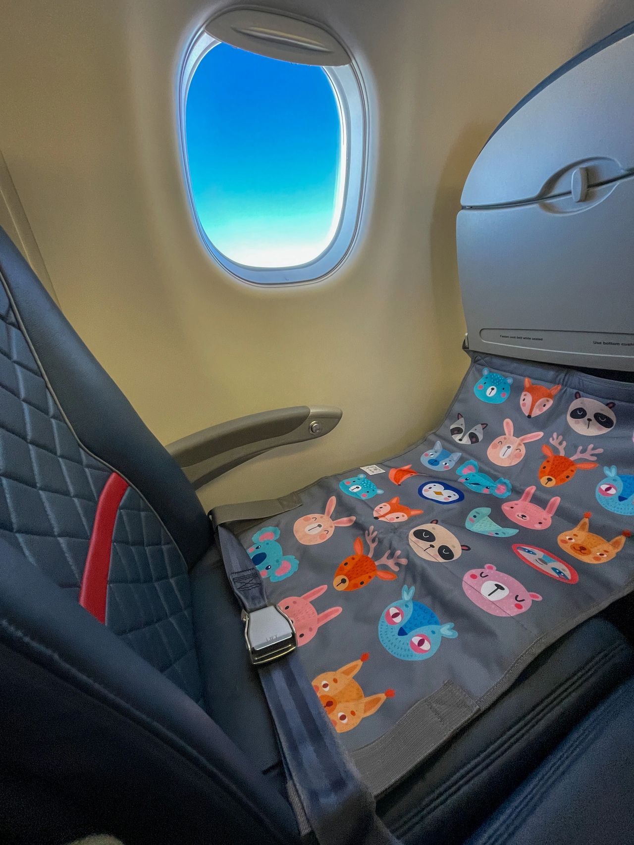 Child Airplane Seat Extenders, Inflatable Footrests, & Bed Boxes