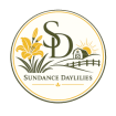 Sundance Daylilies