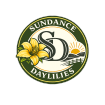 Sundance Daylilies