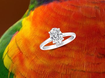 Oval diamond engagement ring