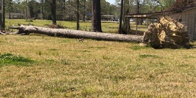 Saw Mill Service and Tree Removal