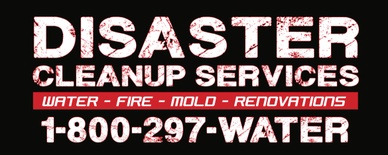 DISASTER CLEANUP SERVICES, INC.