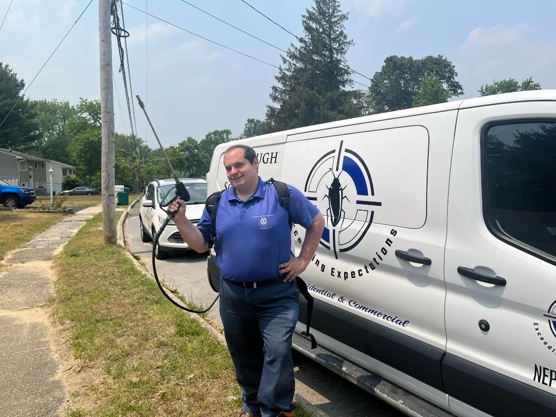 Expert Pest Control Services