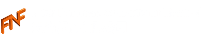 fnf Partners Consultant