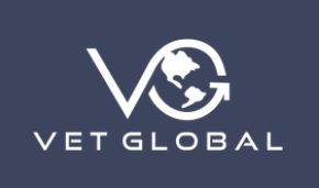 Logo of Vet Global featuring a stylized globe and initials VG.