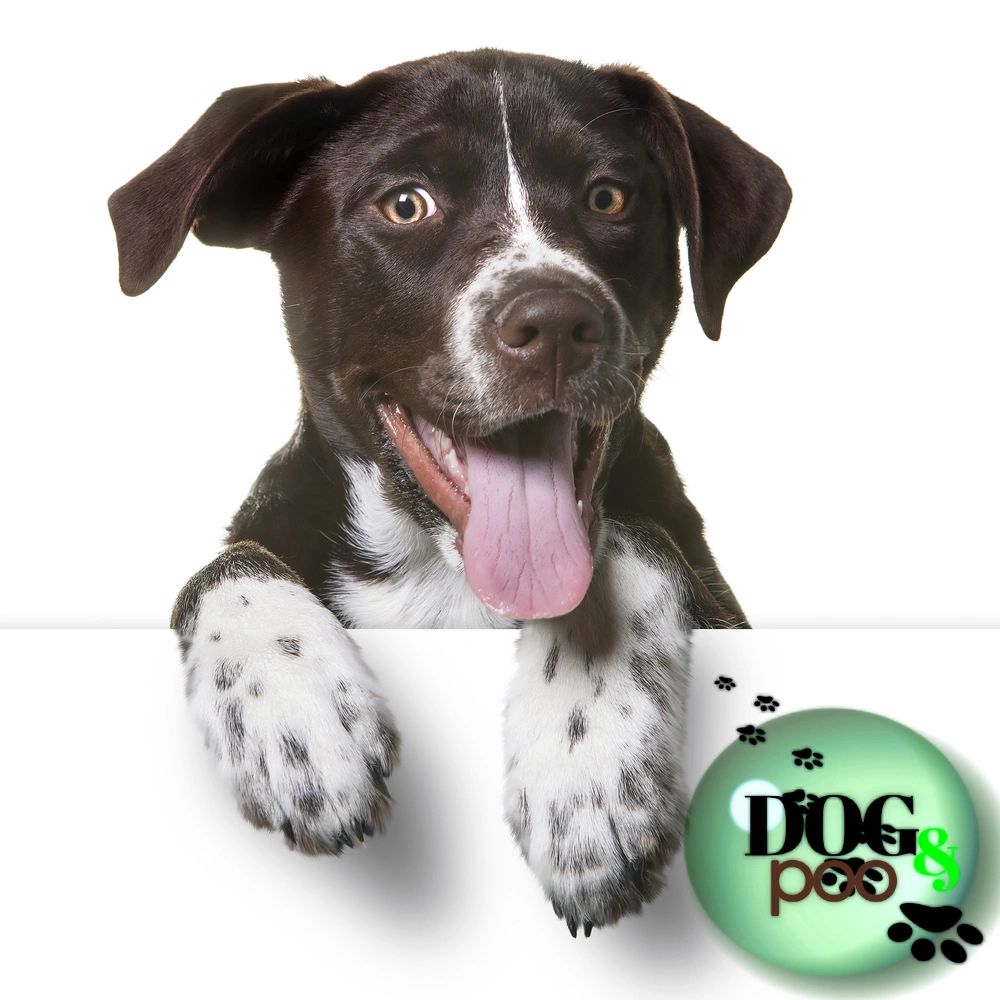 grass puppy pads, grass pads, dog training, puppy potty training, dog potty training