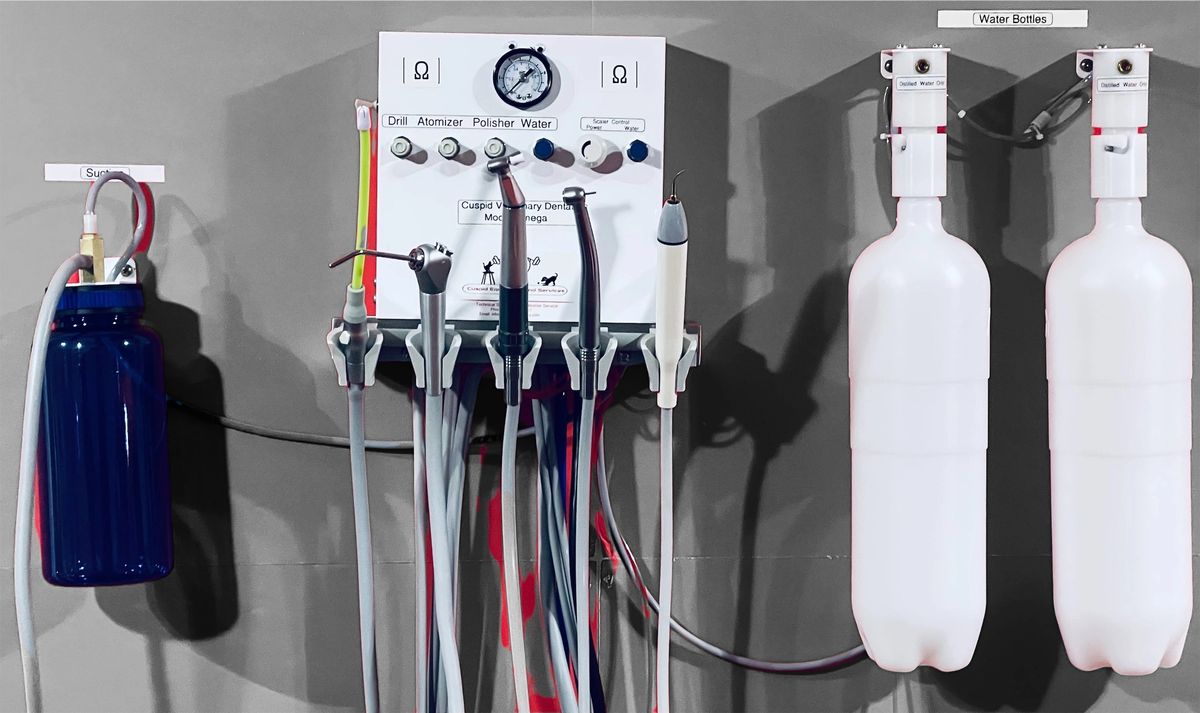 Cuspid Veterinary Dental Omega