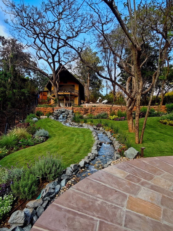 A serene garden with a flowing stream leading to a cozy wooden cabin.