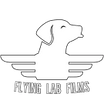 Flying Lab Films