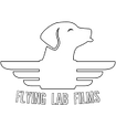 Flying Lab Films