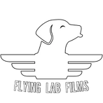 Flying Lab Films