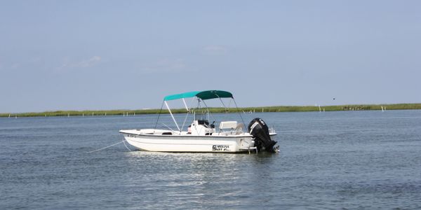 sailboat rental avon nc