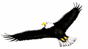 Eagle 1 Renovations