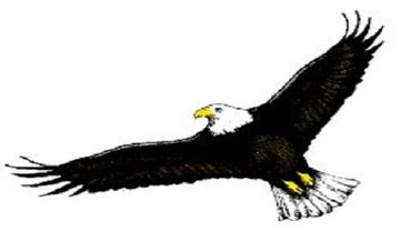 Eagle 1 Renovations logo representing basement remodeling and finishing services.