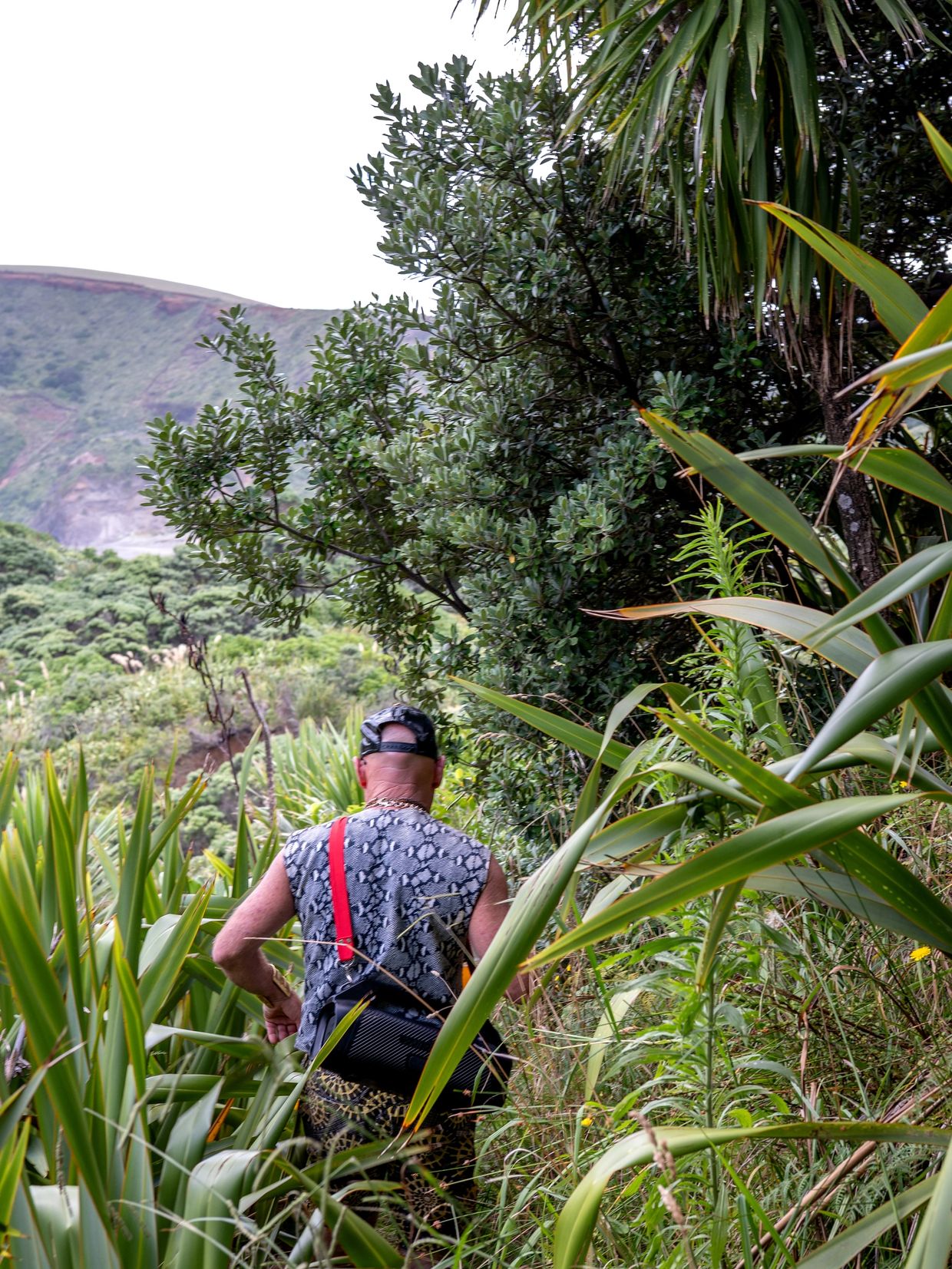 Person hiking through dense green foliage in a natural landscape.