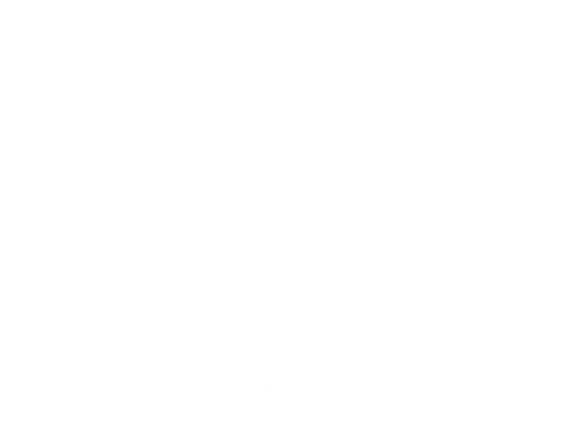 Summit Sparrow logo