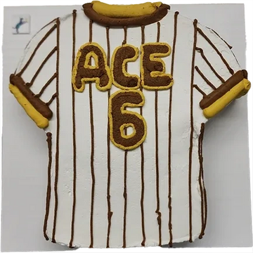 Padres Jersey shaped cake for a dog birthday