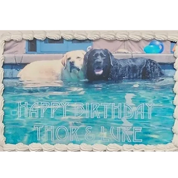 Photo Cake for dog birthday for dog birthday party