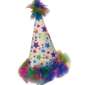 Dog birthday party hat