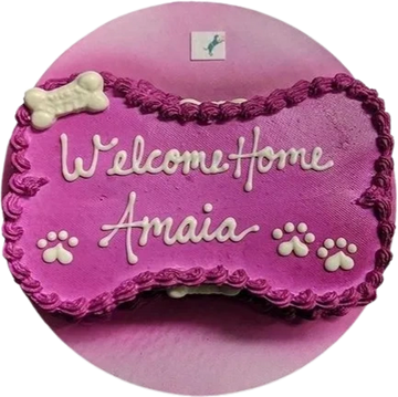 Dog birthday cake for dog birthday party