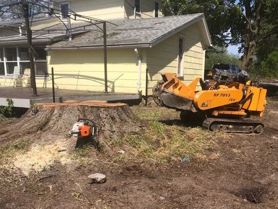 Large stump removal and stump grinding in Mendon, NY