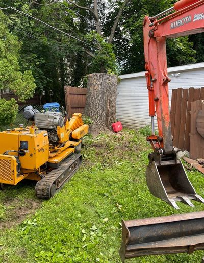 Removing a large stump in Fairport, NY