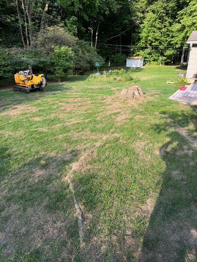 Stump removal and stump grinding in chili, NY