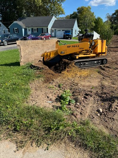 Pittsford stump removal