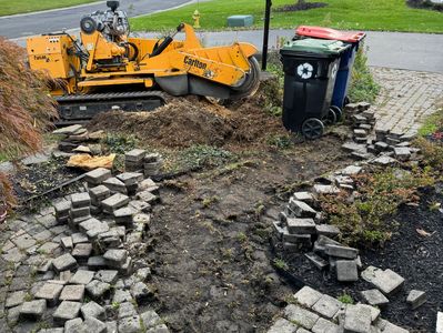 Removing a stump and roots that went under a walkway in Churchville, NY