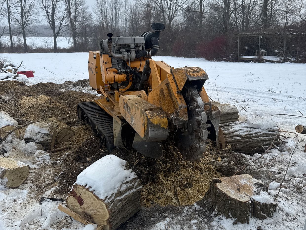 Carlton track-mounted stump grinder removing large tree stumps on East Manitou Road, Rochester, NY 1