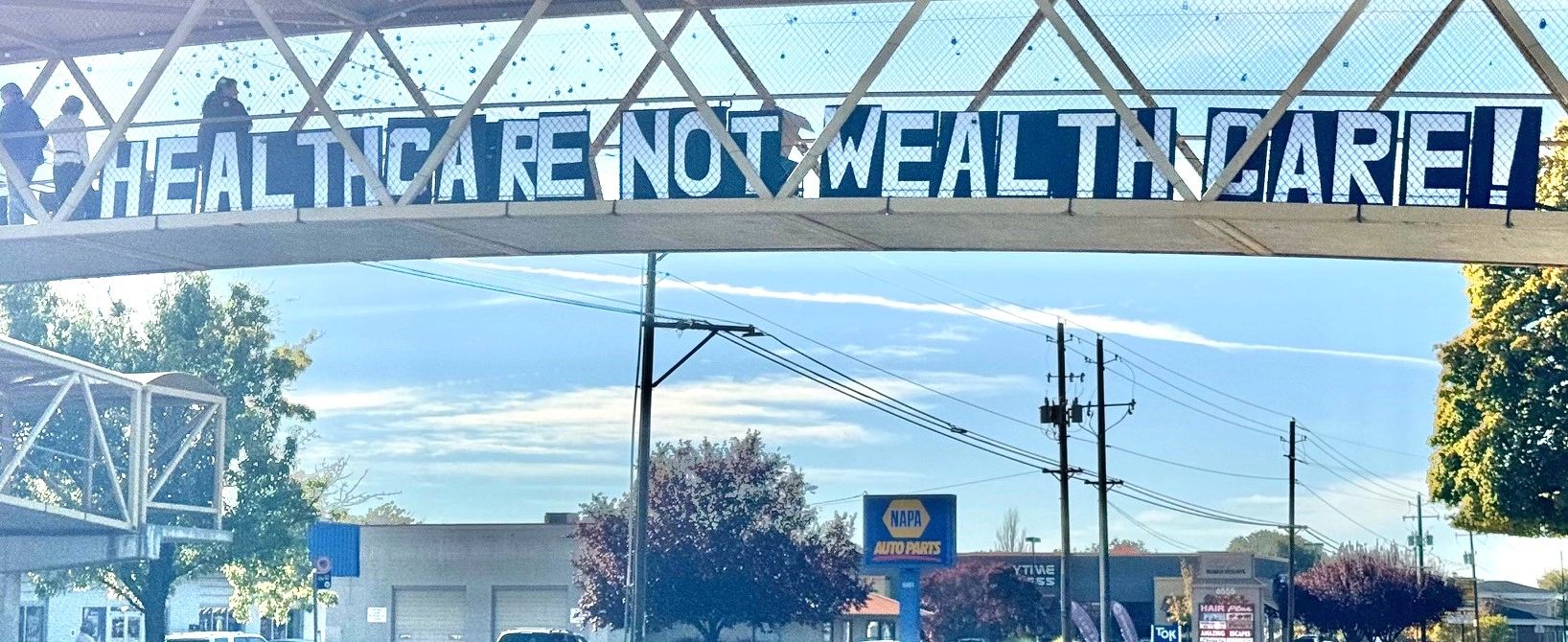 HEALTHCARE NOT WEALTH CARE! Lettered Signs