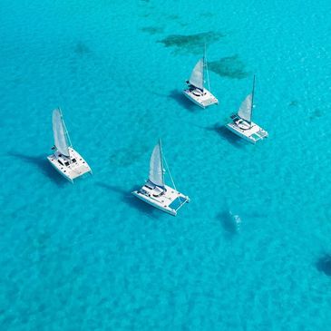 Four sailboats glide on clear turquoise waters under a bright sky.