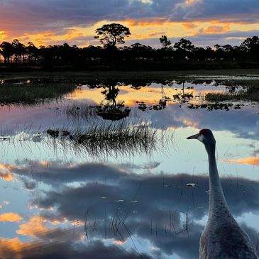 Nature photography by Judy B. Messer, Zen Lens Art