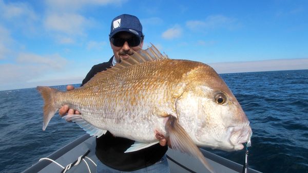 Big snapper on slow pitch jigs, fun way to fish for the Intermediate to pro.  Want to learn SPJ?