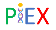 PIEX