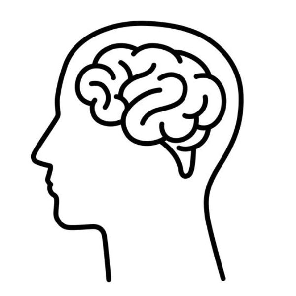 Line art of a brain inside a human head profile.