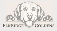 ElkRidge Goldens-English Golden Retrievers