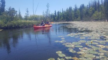 Eco tours Kayak Cave Point Logan Creek kayak rentals 