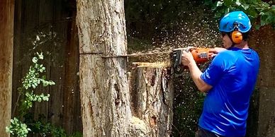 Man cutting a large tree trunk with a chainsaw wearing protective gear.