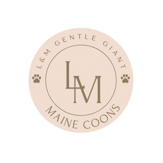 L&M Gentle Giant Maine Coons