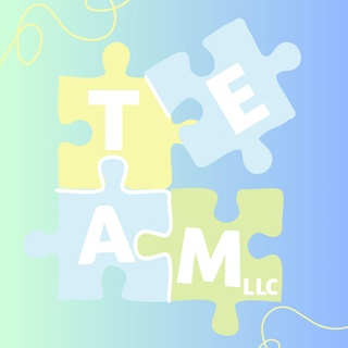 Team Adolescent Services LLC