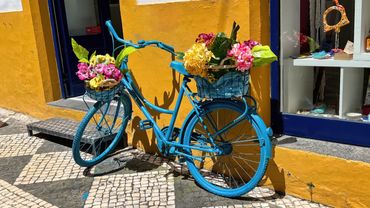 Blue Bicycle
