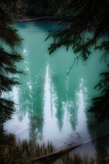 Ghostly Reflections
