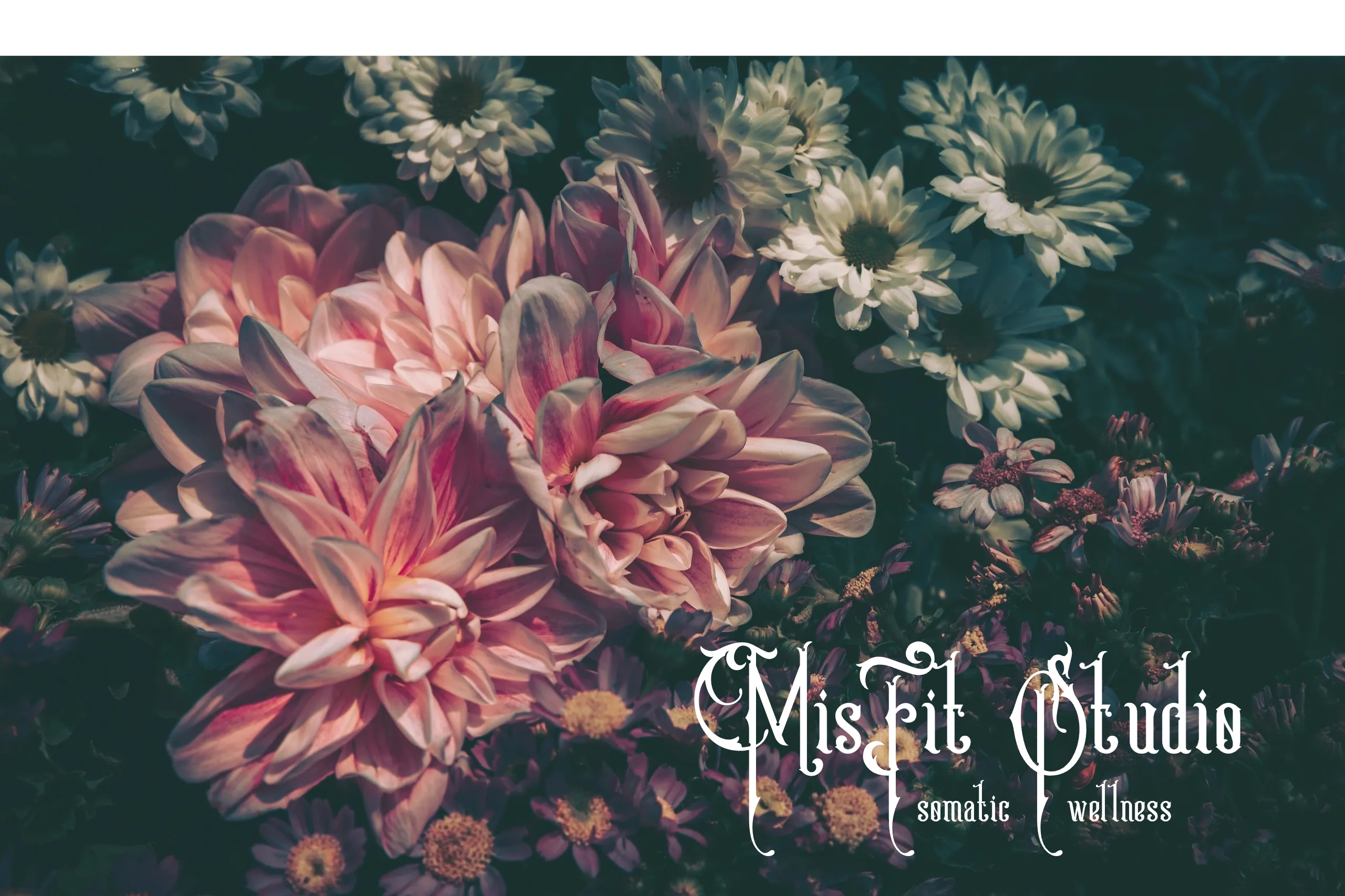 somatic wellness 
