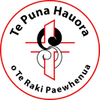 Te Puna Hauora o Te Raki Paewhenua