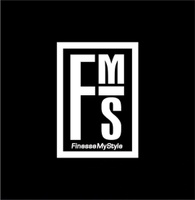 Finesse My Style